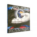 In the Palm of Your Hand (Allen Murray) Album
