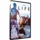 To Life: How Israeli Volunteers are Changing the World (CBN) DVD