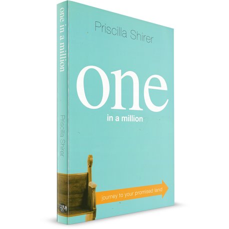 One in a Million: Journey to your promised Land (Priscilla Shirer)