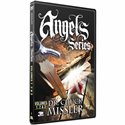 Angels Series DVD Set (vol1-3) (Koinonia House) DVD