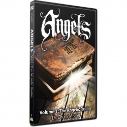 Angels Vol 1: The Angelic Realm (Chuck Missler) DVD