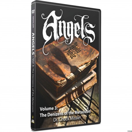 Angels Vol 3: The Denizens of the Metacosm (Chuck Missler) DVD